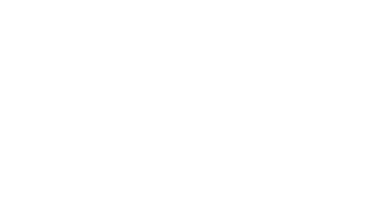 vp_300_160